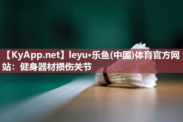 leyu·乐鱼(中国)体育官方网站：健身器材损伤关节